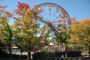 Ferris Wheel