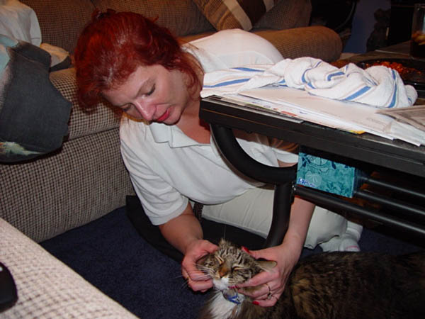 cats_00_02_051