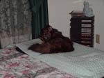 cats_00_02_046