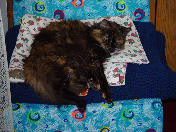 cats_ind_04__004