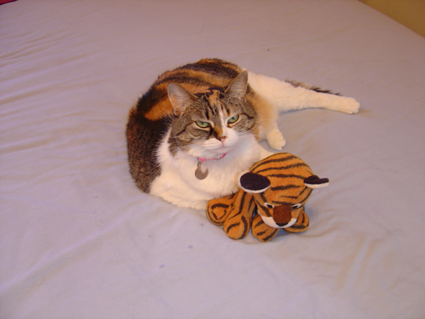 cats_ind_04__052