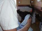5may05_06