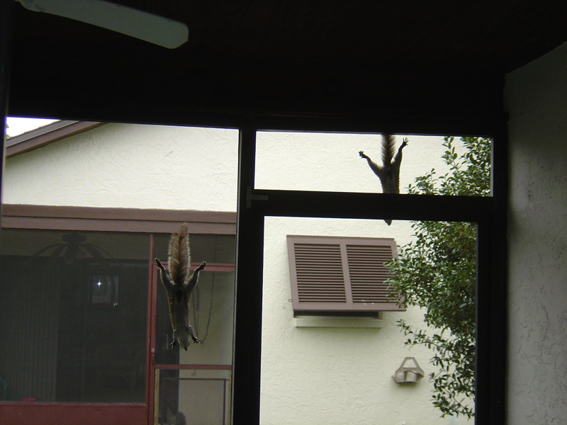 5may05 009
