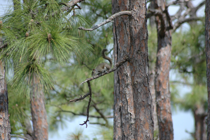 pnh_040406_077