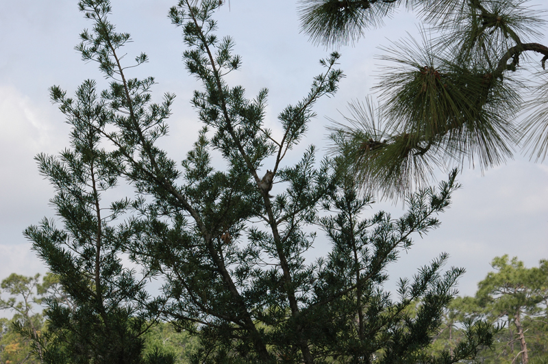 pnh_040406_089