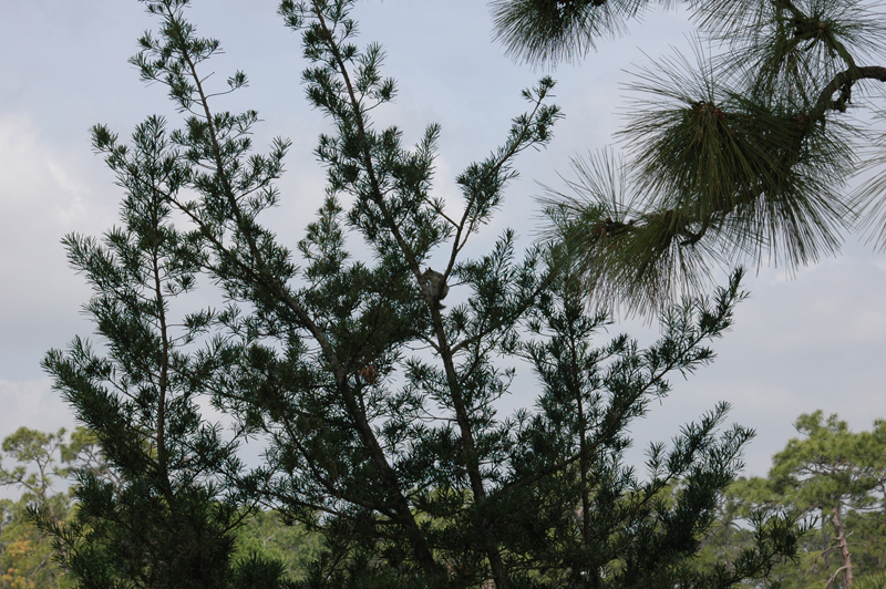 pnh_040406_090