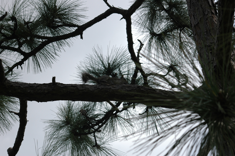 pnh_040406_091