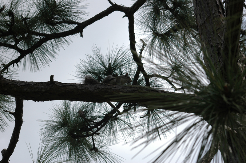 pnh_040406_092