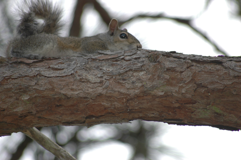 pnh_040406_095