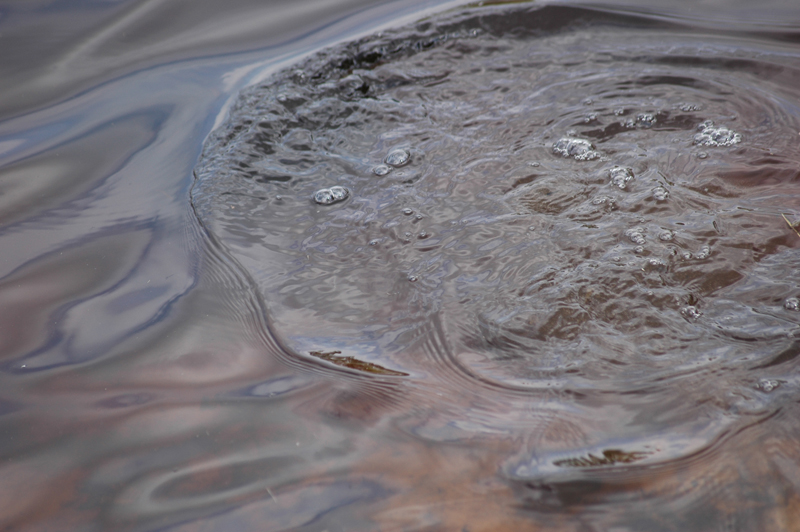 pnh_040406_103