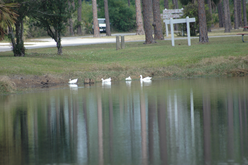 pnh_040406_109