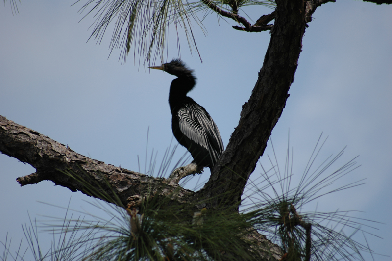 pnh_040406_115