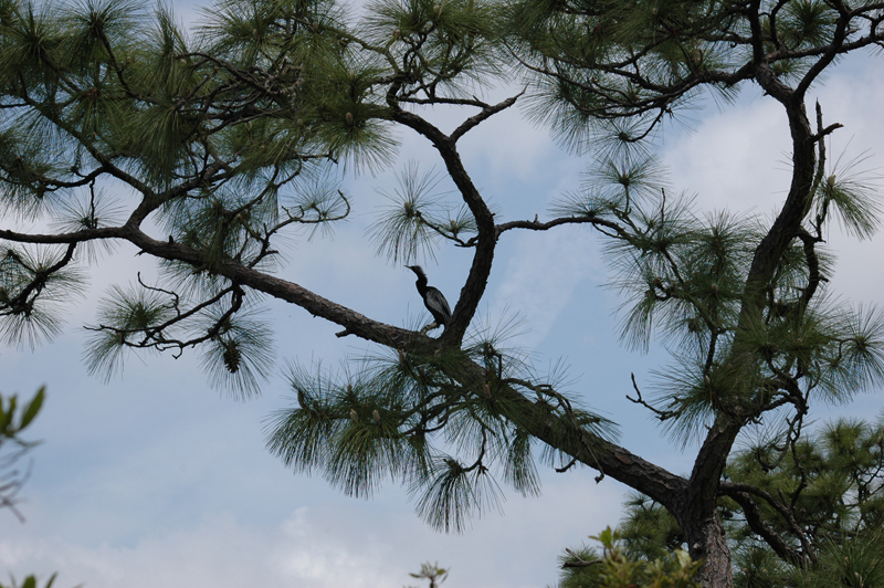 pnh_040406_116