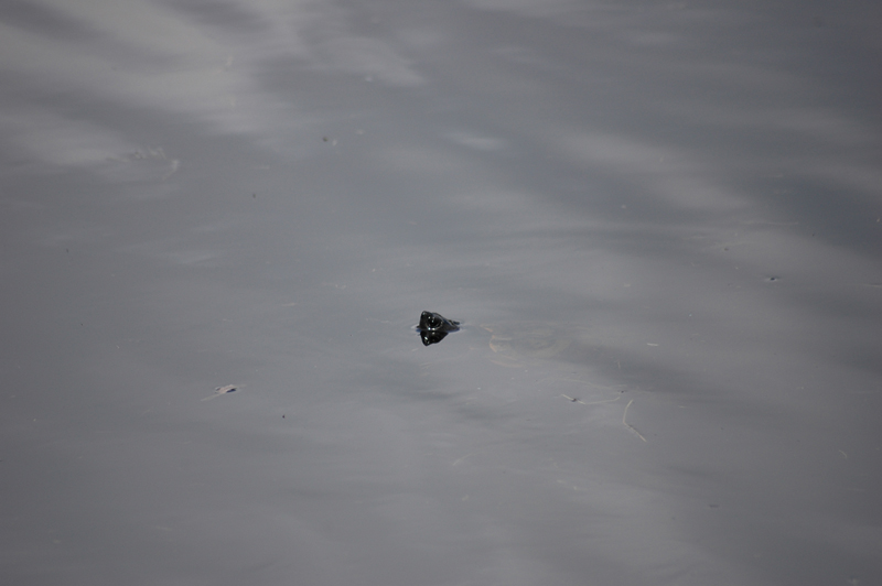 pnh_040406_120