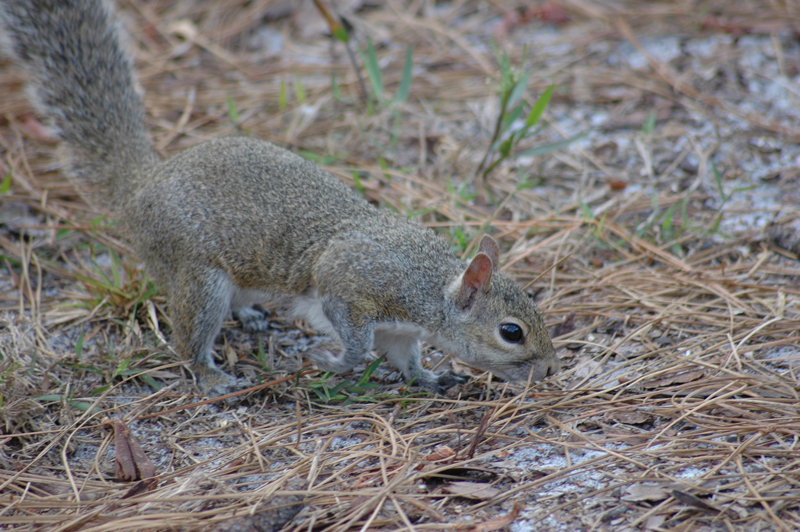 pnh_040406_140