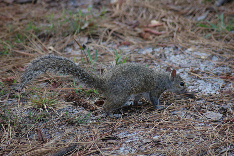 pnh_040406_142