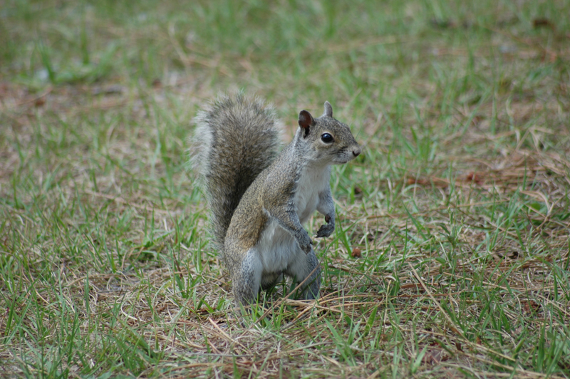 pnh_040406_155