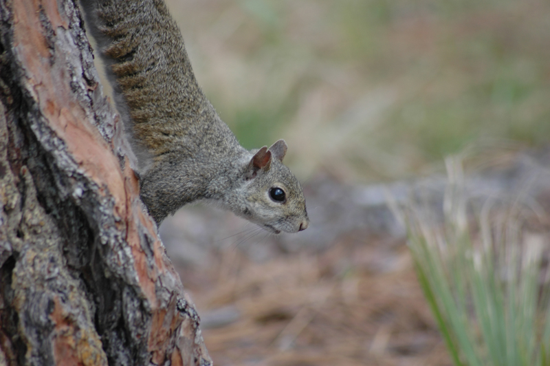 pnh_040406_164