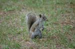 pnh_040406_155