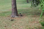 pnh_040406_157