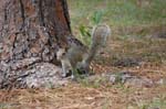 pnh_040406_158