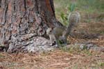 pnh_040406_159
