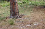 pnh_040406_160