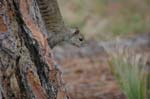 pnh_040406_161