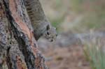 pnh_040406_163