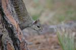 pnh_040406_164