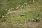 pnh_040406_168