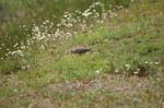 pnh_040406_169