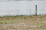 pnh_040406_186
