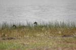 pnh_040406_187