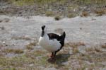 pnh_040406_198