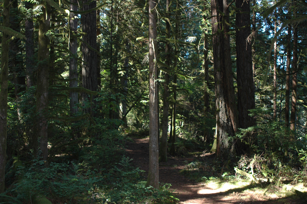 2007_0924_Oxbow 011