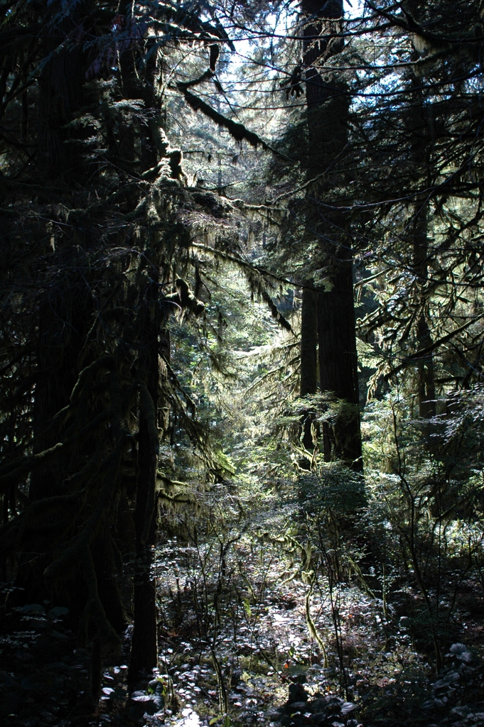 2007_0924_Oxbow 113