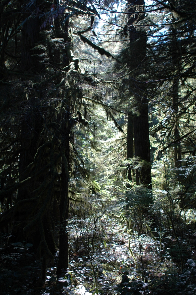 2007_0924_Oxbow 114