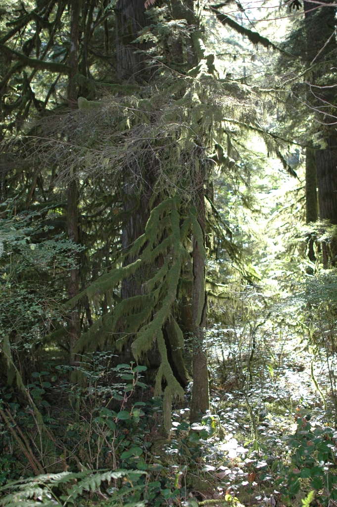 2007_0924_Oxbow 115