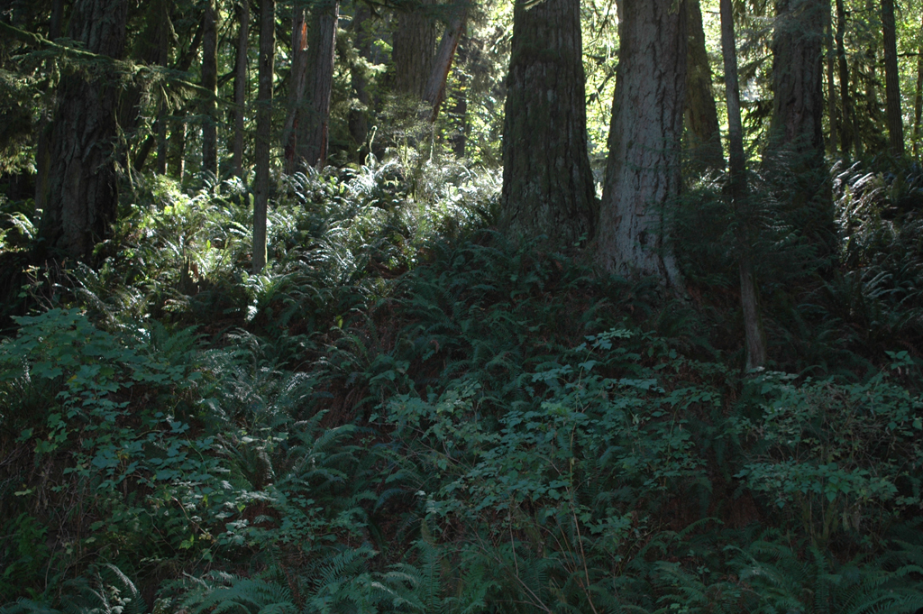 2007_0924_Oxbow 118