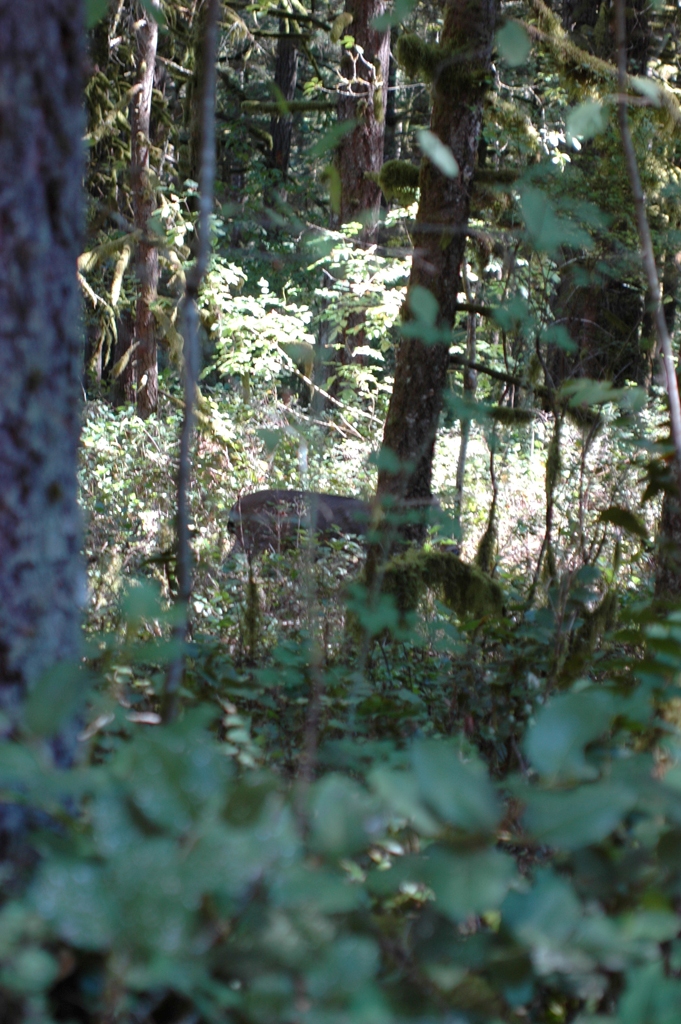 2007_0924_Oxbow 119