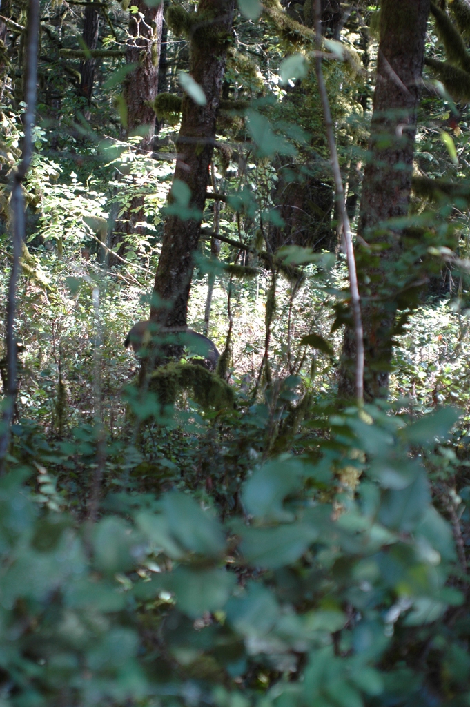 2007_0924_Oxbow 120
