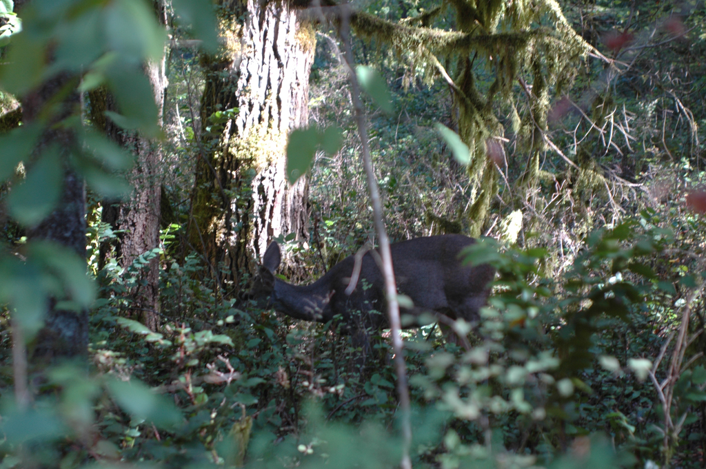 2007_0924_Oxbow 122