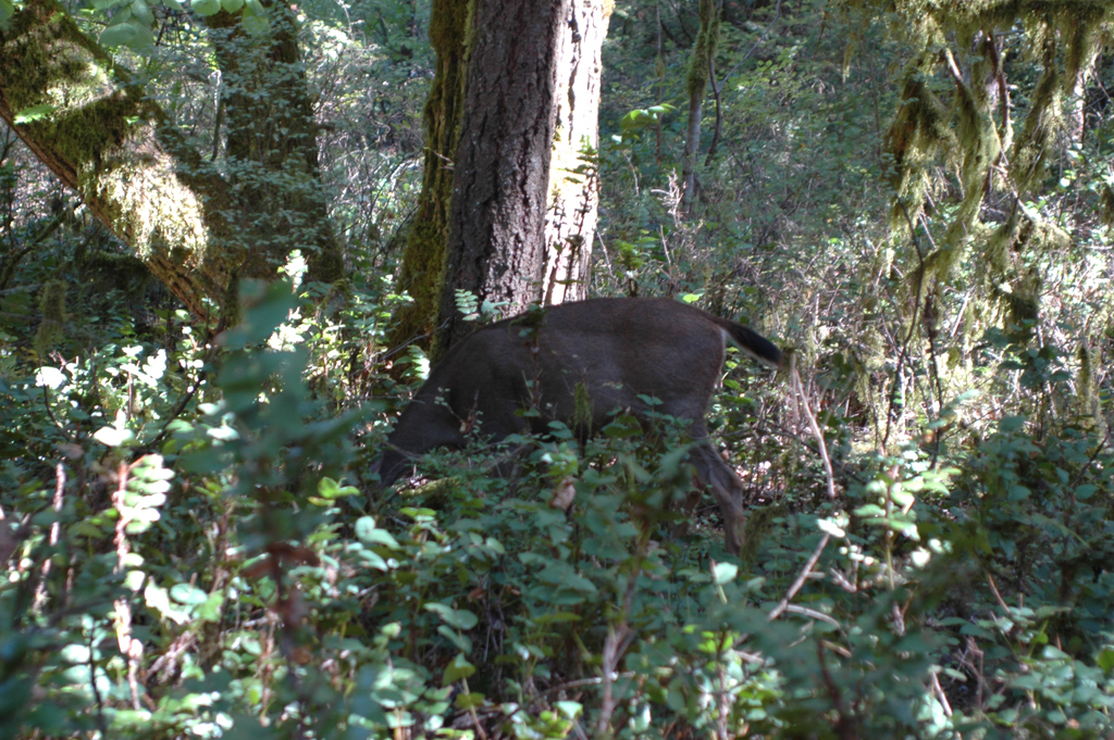 2007_0924_Oxbow 124