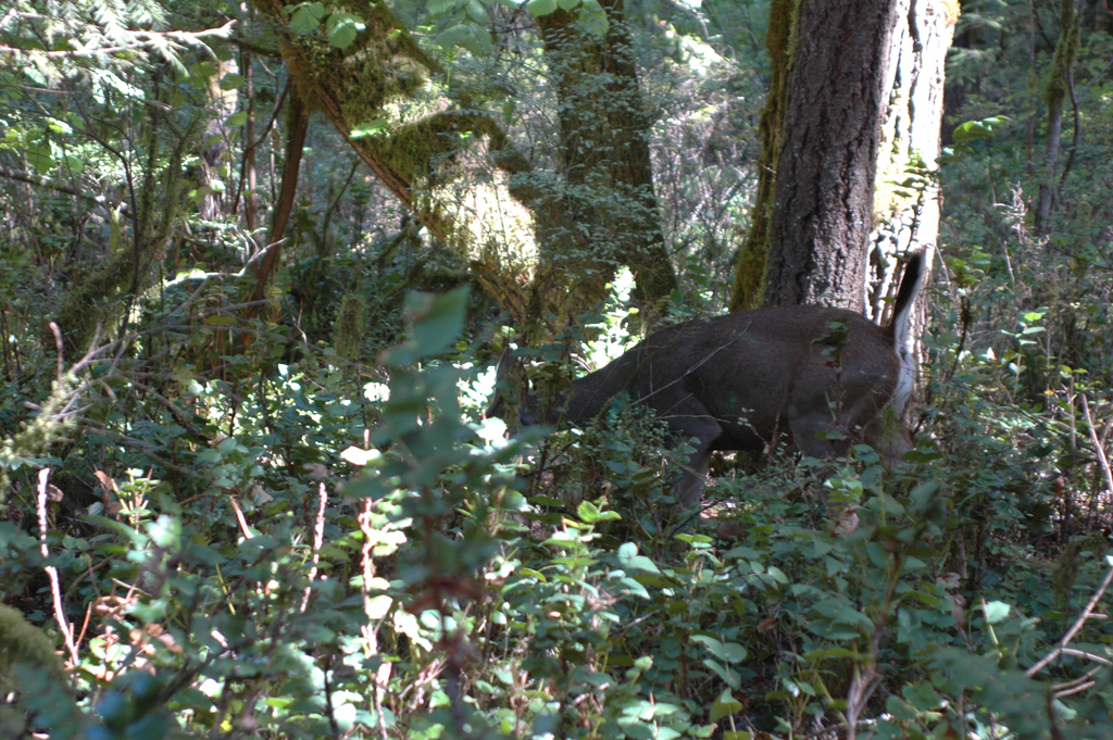 2007_0924_Oxbow 125