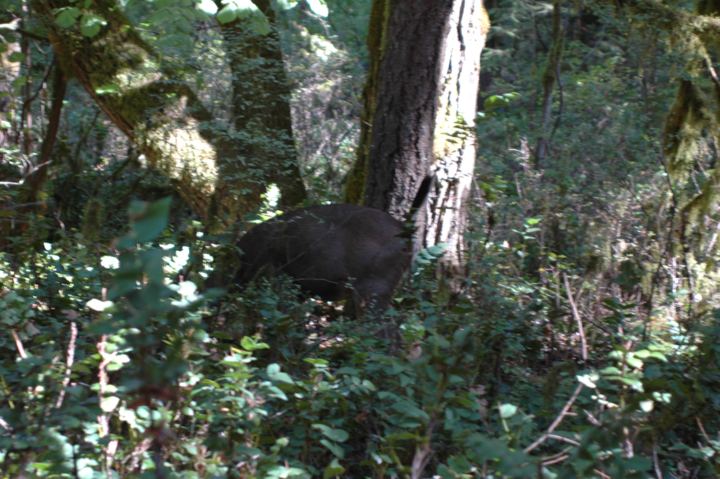 2007_0924_Oxbow 126