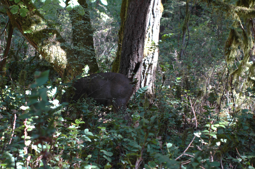 2007_0924_Oxbow 127