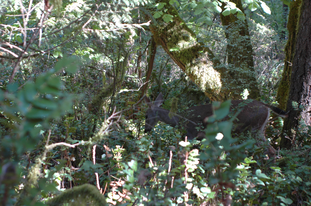 2007_0924_Oxbow 129
