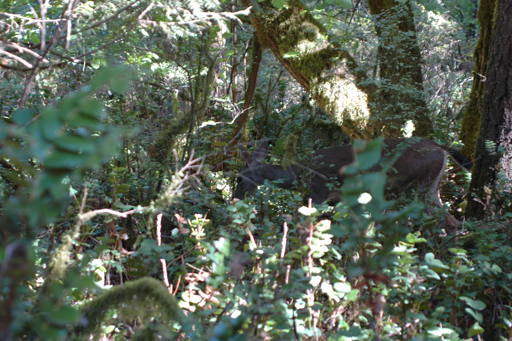 2007_0924_Oxbow 130