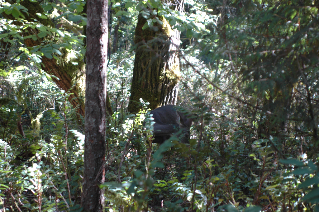 2007_0924_Oxbow 131